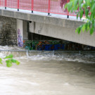 02062013hochwasserhalleinde02001aktivnews49.jpg