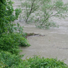 02062013hochwasserhalleinde02001aktivnews05.jpg