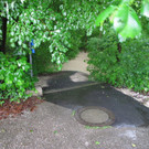IMG_0593.jpg