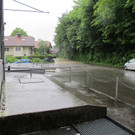 IMG_0594.jpg