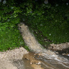 IMG_8397.jpg
