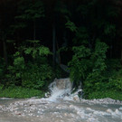 IMG_8481.jpg
