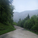 IMG_8520.jpg