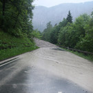IMG_8523.jpg