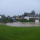 IMG_8533.jpg