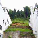 IMG_6507.JPG