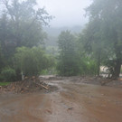 normal_02062013mureat04002aktivnews018.JPG