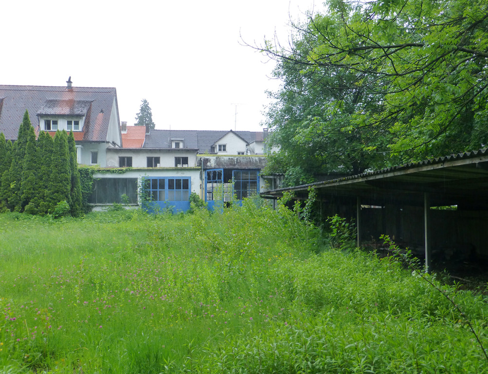 Lacha2fhinten_jpg-1370183835