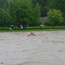 02062013salzach2at05_009aktivnews_17.jpg