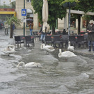 02062013hochwassergmundenat02001aktivnews _26_.JPG