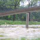 02062013hochwasserde05002aktivnews _22_.JPG
