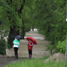 02062013hochwasserde05002aktivnews _54_.JPG