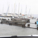 02062013hochwasserde05002aktivnews _37_.JPG