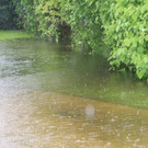 02062013hochwasserde05002aktivnews _129_.JPG
