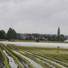02062013hochwasserde05002aktivnews _71_.JPG
