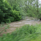 02062013hochwasserde05002aktivnews _67_.JPG