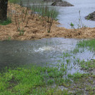 02062013hochwasserde05002aktivnews _2_.JPG