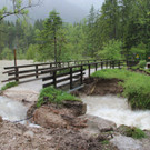 02062013warade01003aktivewns _27_.JPG