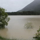 02062013warade01003aktivewns _9_.JPG