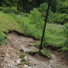 02062013wassbgd4de01003aktivnews _57_.JPG