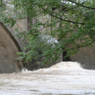 02062013hochwasser2de05012aktivnews_ 026.JPG
