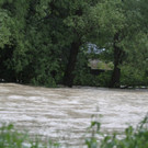 02062013hochwasser2de05012aktivnews_ 035.JPG