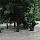 02062013hochwasser2de05012aktivnews_ 083.JPG