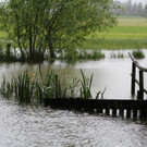 02062013hochwasser2de05012aktivnews_ 063.JPG