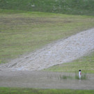 02062013bachat04002aktivnews017.JPG