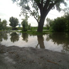 HOCHWASSER ALBERN