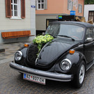SchulerHohenaurr3_JPG-1370200581