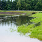 a 02 Neuner.JPG