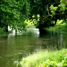 a 04 Neuner.JPG