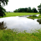 a 06 Neuner.JPG