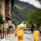 ABD0232-20130602.jpg