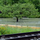 ABD0220-20130602.jpg