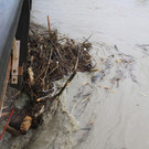 02062013hochwasser2de05002aktivnews031.JPG