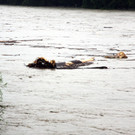 02062013hochwasser2de05002aktivnews043.JPG