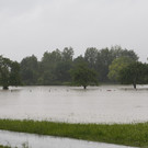 02062013hochwasserfreilassingde05001aktivnews_013.jpg