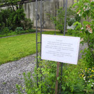 DSCN0025_JPG-1370233726