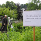 DSCN0064_JPG-1370234434