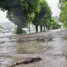 02062013hochwassergmundenteilwat02001aktivnews _69_.JPG