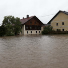 red_dst-239553.JPG
