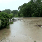 Hochwasser Bez_ Amstetten _2_.jpg