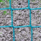 RWR Damen vs Wacker IBK _6__jpg-1370252522
