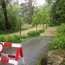 hoechst4.JPG