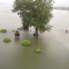 mondsee.jpg