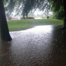 schwarzpark.jpg