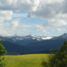 DSCN1505.JPG