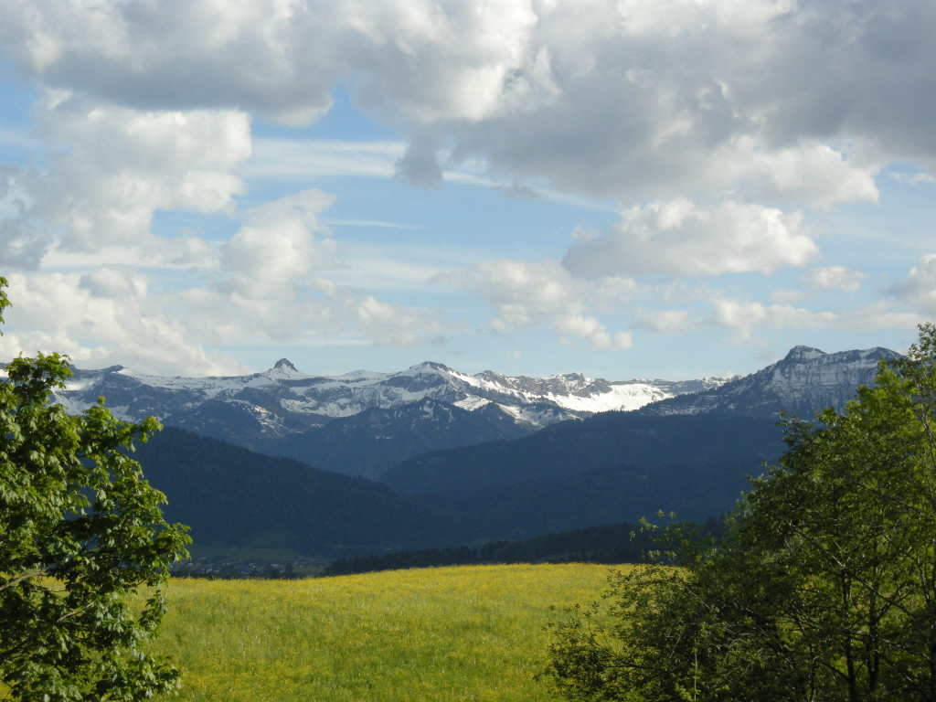 DSCN1505.JPG
